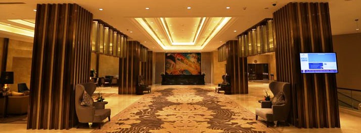 1242/The Pride Plaza Hotel - New Delhi 02.jpg